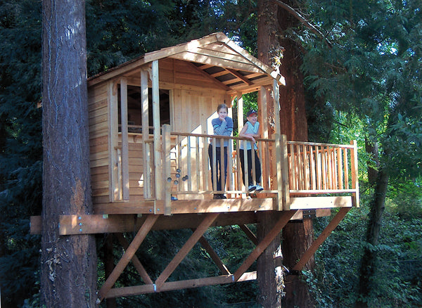 clubhouse in a tree